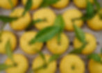 Yuzu neatly presented in box.