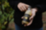 Bottled Yuzu juice