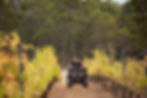 Fabio DeiTos on motorike in vineyard