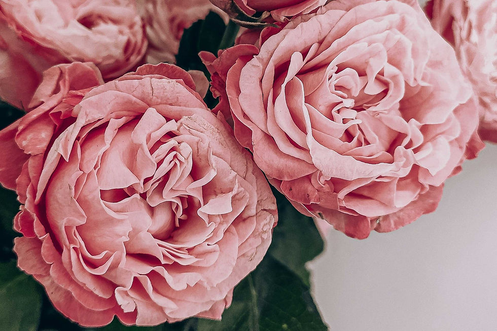 Header.jpg