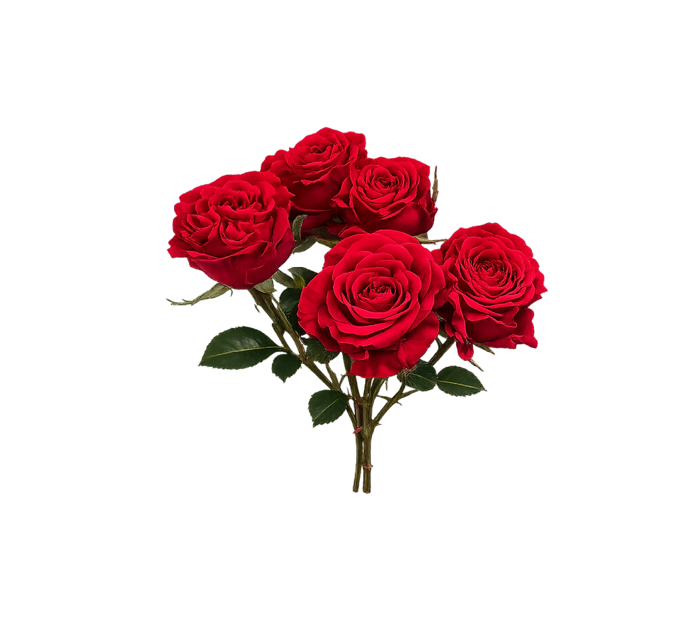 Spray-Garden-Roses.png