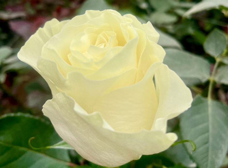 WhatsApp Image 2026-04-04 at 14.09.32 (2).jpeg