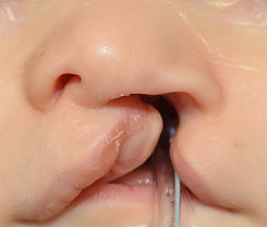 DSC_0728_edited.jpg