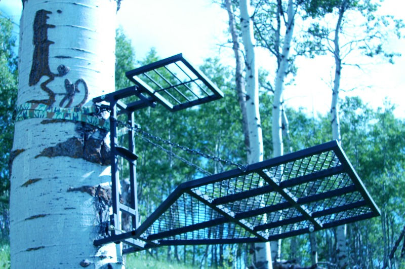 treestand pics 010.JPG