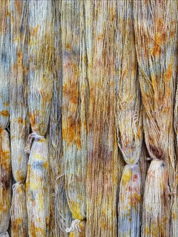 Plant dyed workshop warps