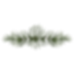 Pine Spruce Branches 4