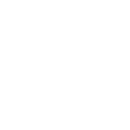 TJ Auto.png