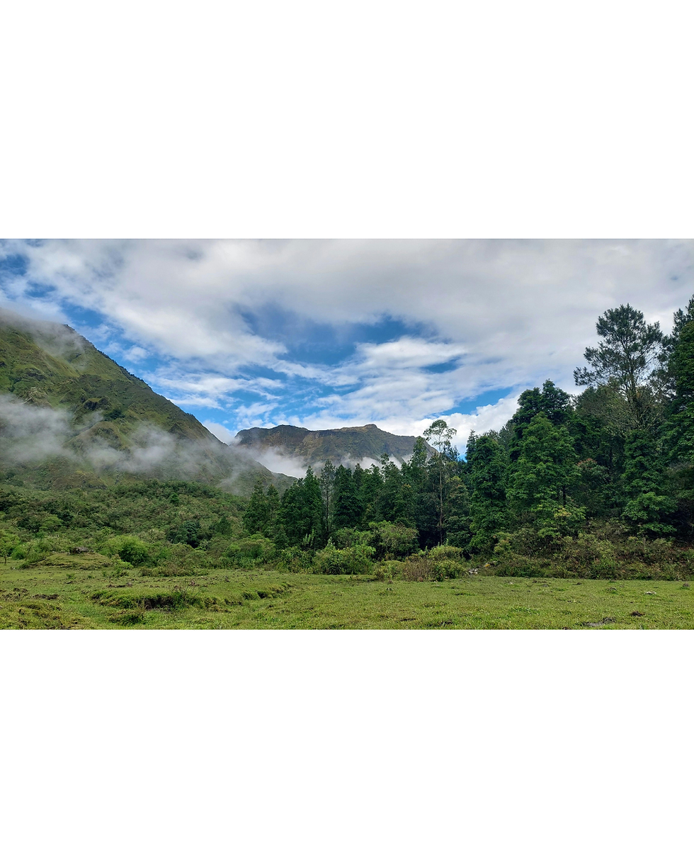 Beginning the year with Balance