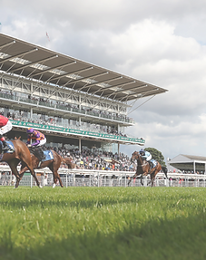 Race track_edited.png