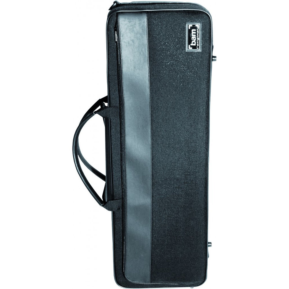 Thumbnail: BAM ARTISTO VIOLIN CASE