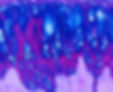 Website Lonk, Foto 3.jpg