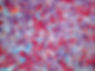 hypophyse, rat, Foto 2.jpg
