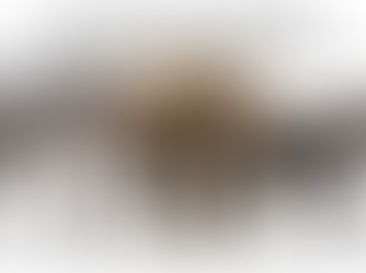 Elephants: The Giants of the Animal Kingdom