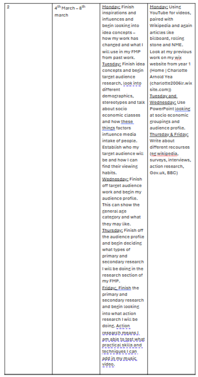 action plan ss 2.png
