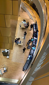 IMG_1062_edited.jpg