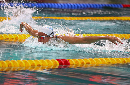 Natation