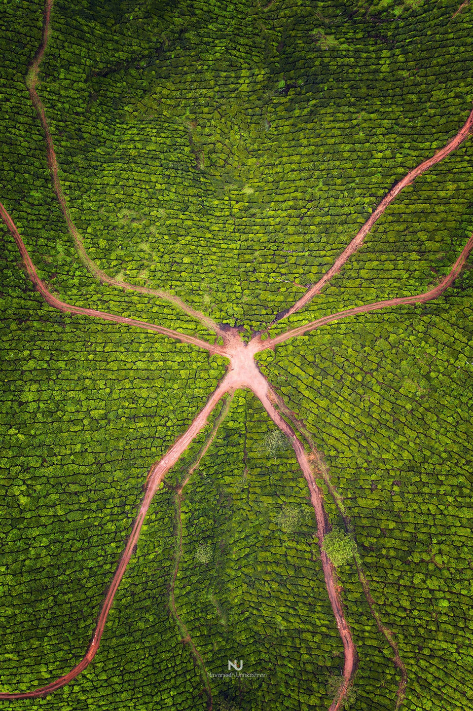 Munnar_Aerial_Kerala_2.jpg