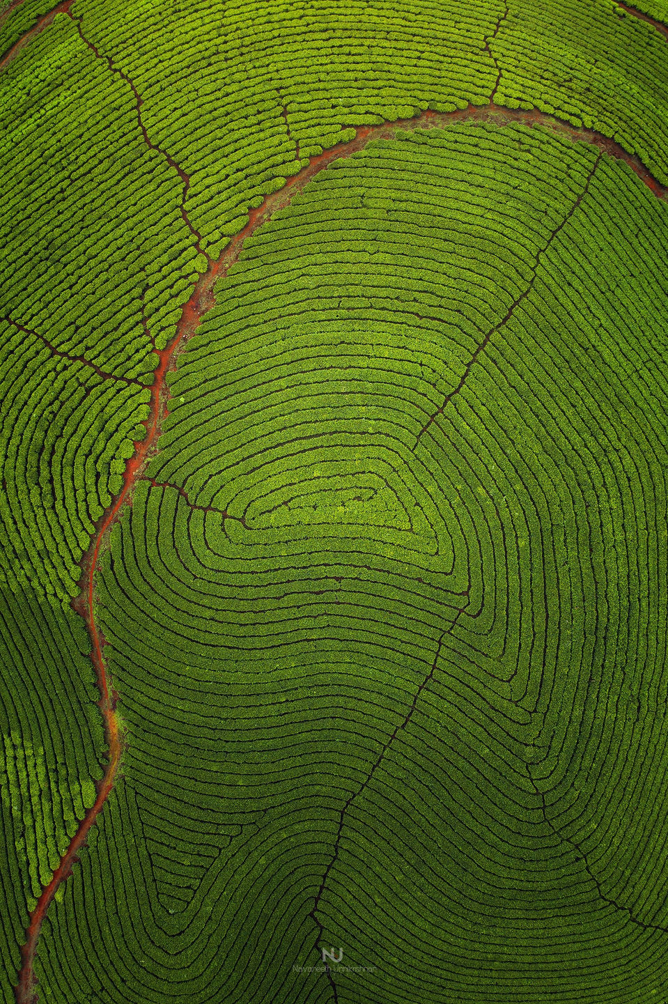 Munnar_Aerial_Kerala_1.jpg