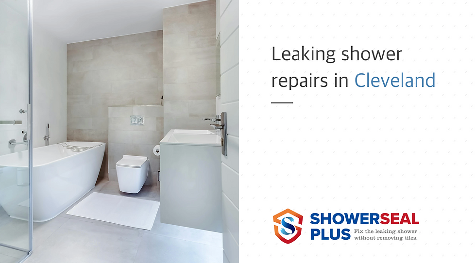 Leaking shower repairs in Cleveland