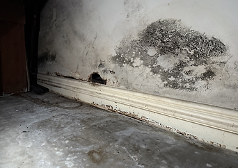 Common Causes of Shower Leaks