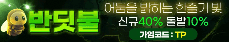 반딧불_먹튀_보호_토스플_배너_넓은형.gif