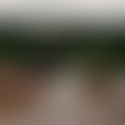 Spring Wine Festival & Sunset Tour!