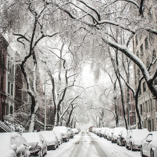 Combat the Winter Blues