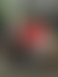 Join Us! Shred Day 2017