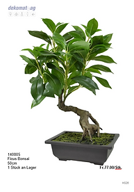 Ficus Bonsai
50cm
1 Stück an Lager	Fr.77.00/Stk.
