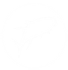 Stickers white.png