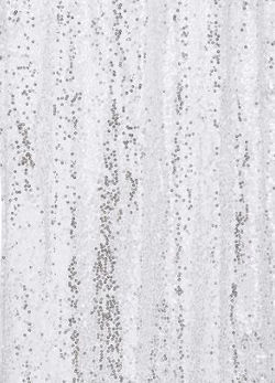 Silver Sequin Panel