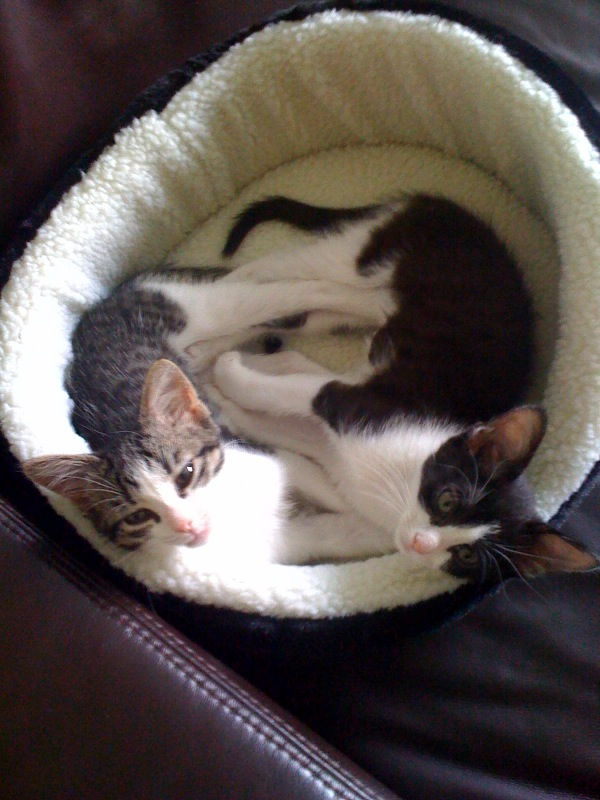 02 Ruby and Zoe, April 2010