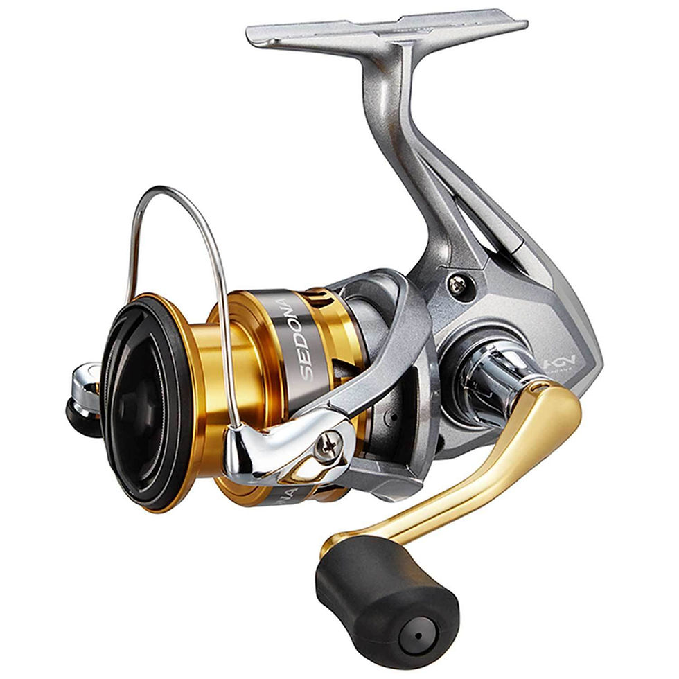 SHIMANO SE1000FI SEDONA FI SPINNING REEL (SE1000FI)