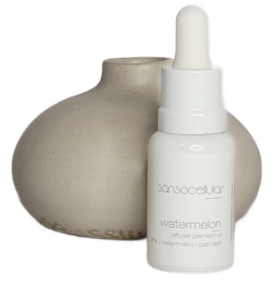 Watermelon Signature Diffuser I Lava Oil