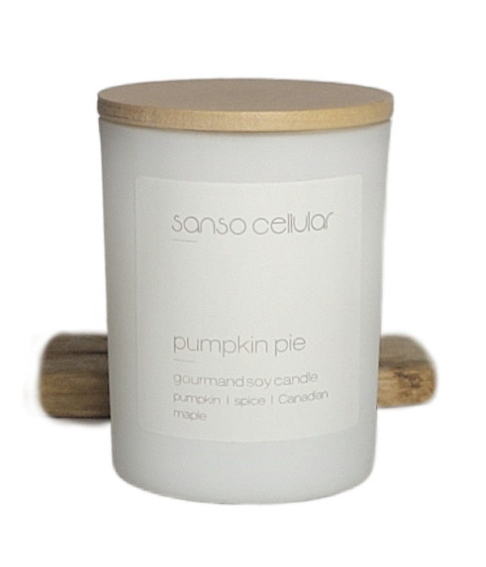 Pumpkin Pie Signature Pure Soy Candle I 19 Hours