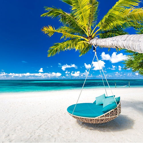 Sweet Orange and Cedar Inspire I Handmade Diffuser Oil Sanso Cellular Sonya Australia