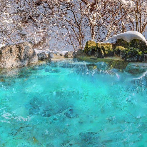 Luxury Exclusive Long-Lasting Eco Hanging Diffuser Sanso Cellular Sonya Australia