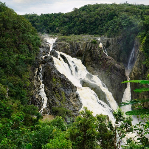 Australian Daintree Falls Inspired I Pure Soy Candle Sanso Cellular Sonya Australia