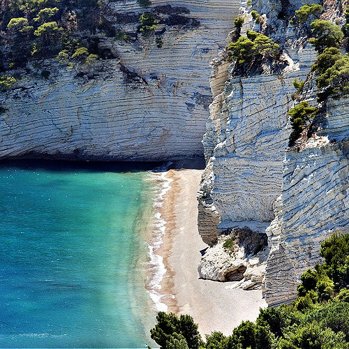 Luxury Exclusive Long-Lasting Eco Hanging Diffuser Sanso Cellular Sonya Australia