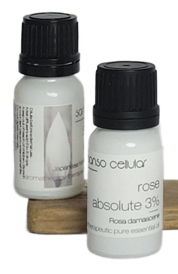 Rose Absolute 3% in Jojoba Essential Oil