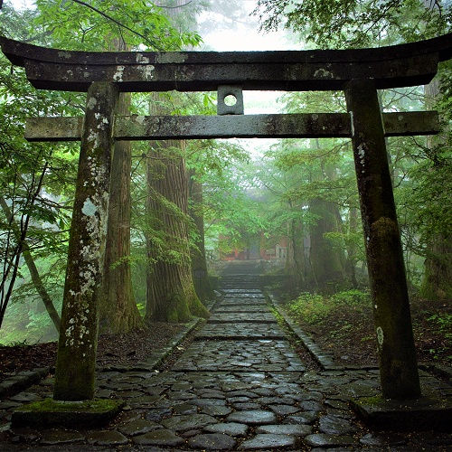 Sandalwood Patchouli Sea Elements Inspire I Handmade Diffuser Oil Sanso Cellular Sonya Australia