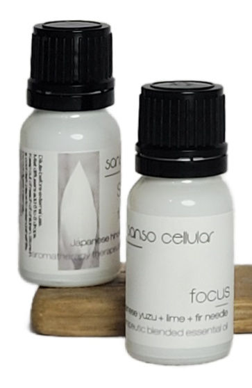 Focus Essential Oil