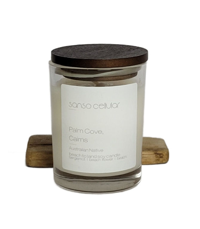 Palm Cove Cairns Australian Signature Pure Soy Candle I 19 Hours