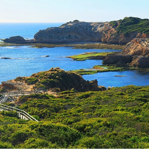 Australian Little Sorrento Diamond Bay Inspired I Pure Soy Candle Sanso Cellular Sonya Australia