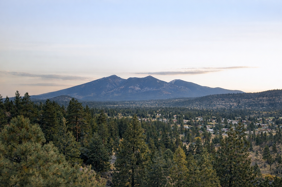 ChatGPT Image Jan 22, 2026, 04_00_46 PM.png