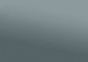 Pilot whale swimming 2020