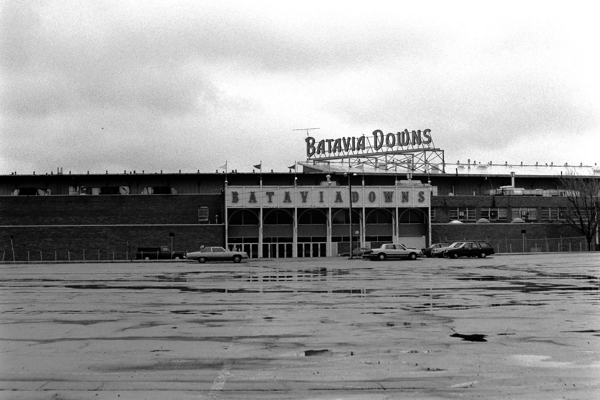Batavia Downs, black and white landscape