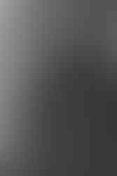 black and white tree tops