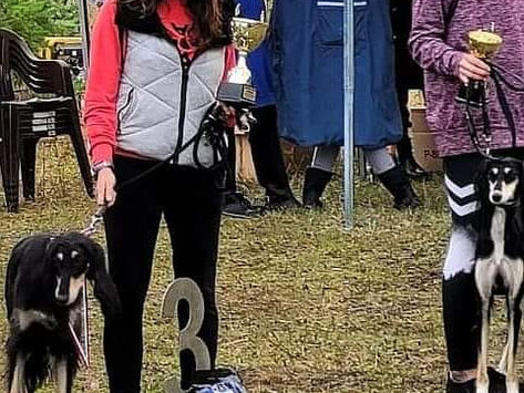 International Polish Coursing Championship