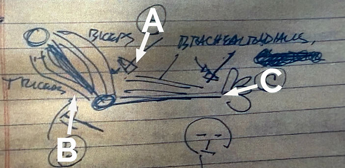 figure 4_edited.jpg